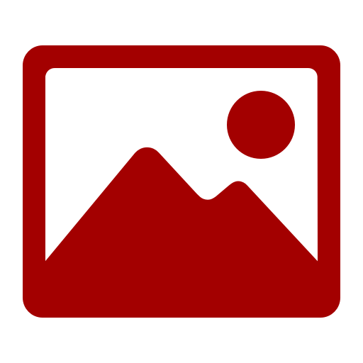 PDF Icon